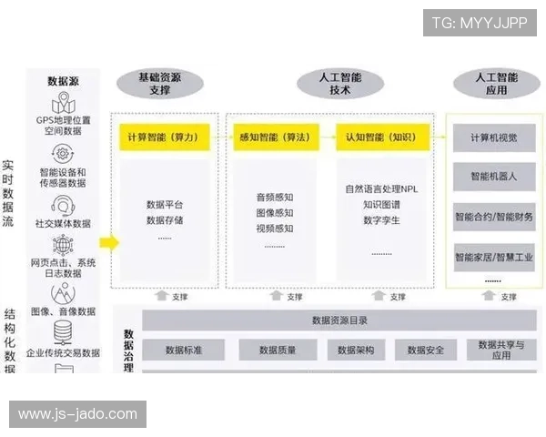 成都排球队的转型之路：从传统强队到现代化竞技新标杆的探索与实践