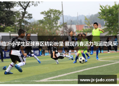 临沂小学生足球赛区精彩纷呈 展现青春活力与运动风采
